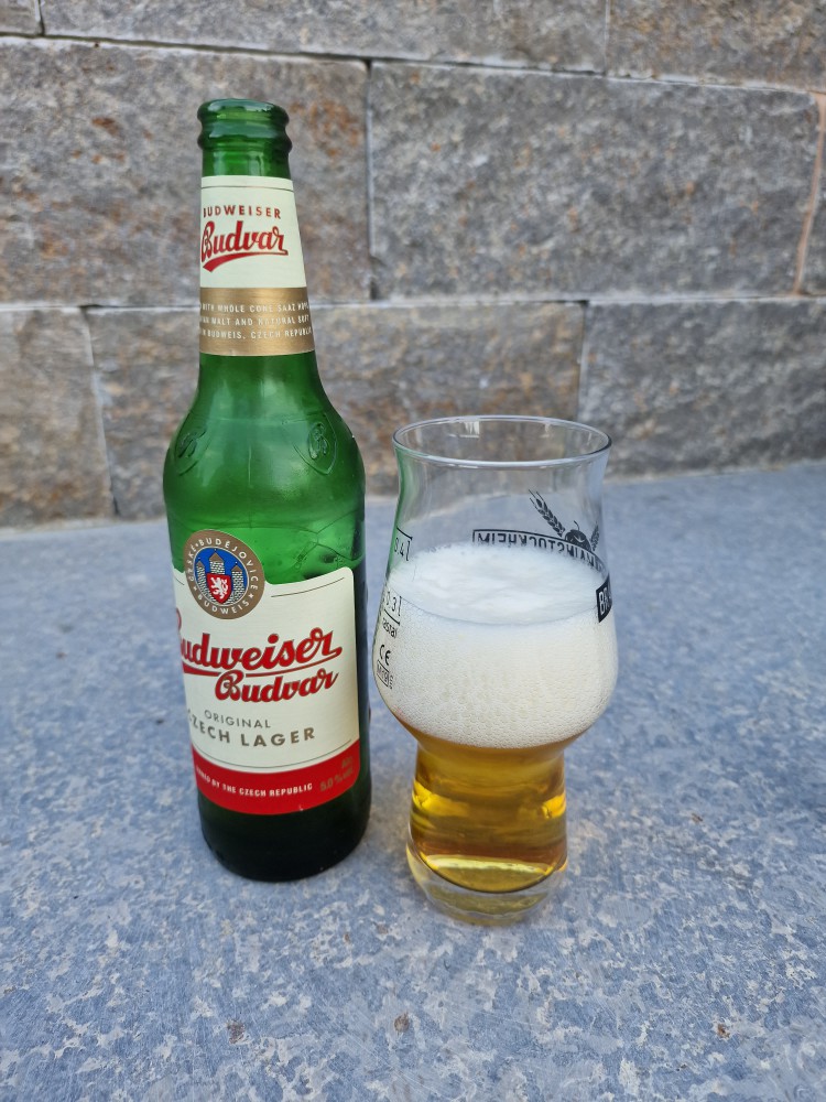 Budweiser Czech Lager
